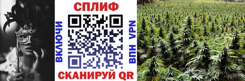 закладка  Волжск  Конопля план 